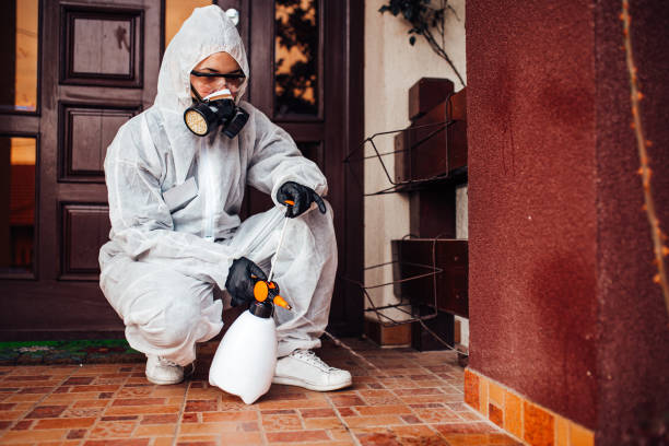 Reliable Ant Control contractor in Franklin, GA by Nex Pest Control